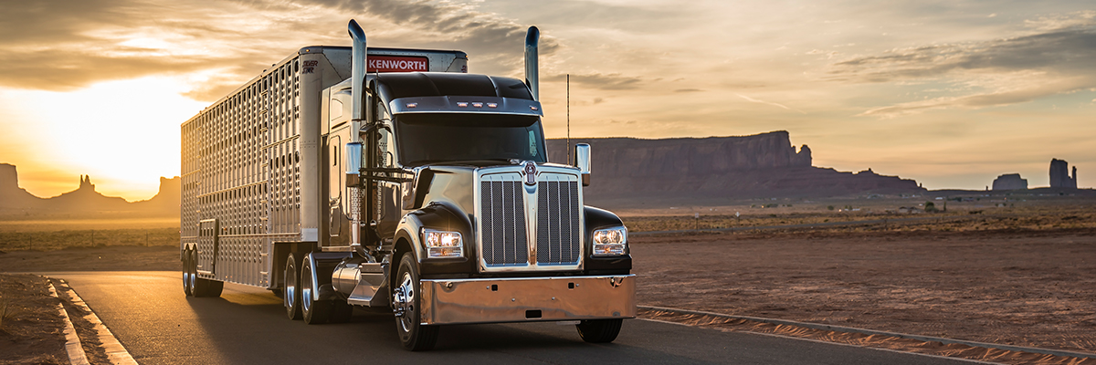 Kenworth W990 parked in the desert with sunset in the background