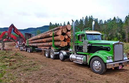 kenworth logging truck