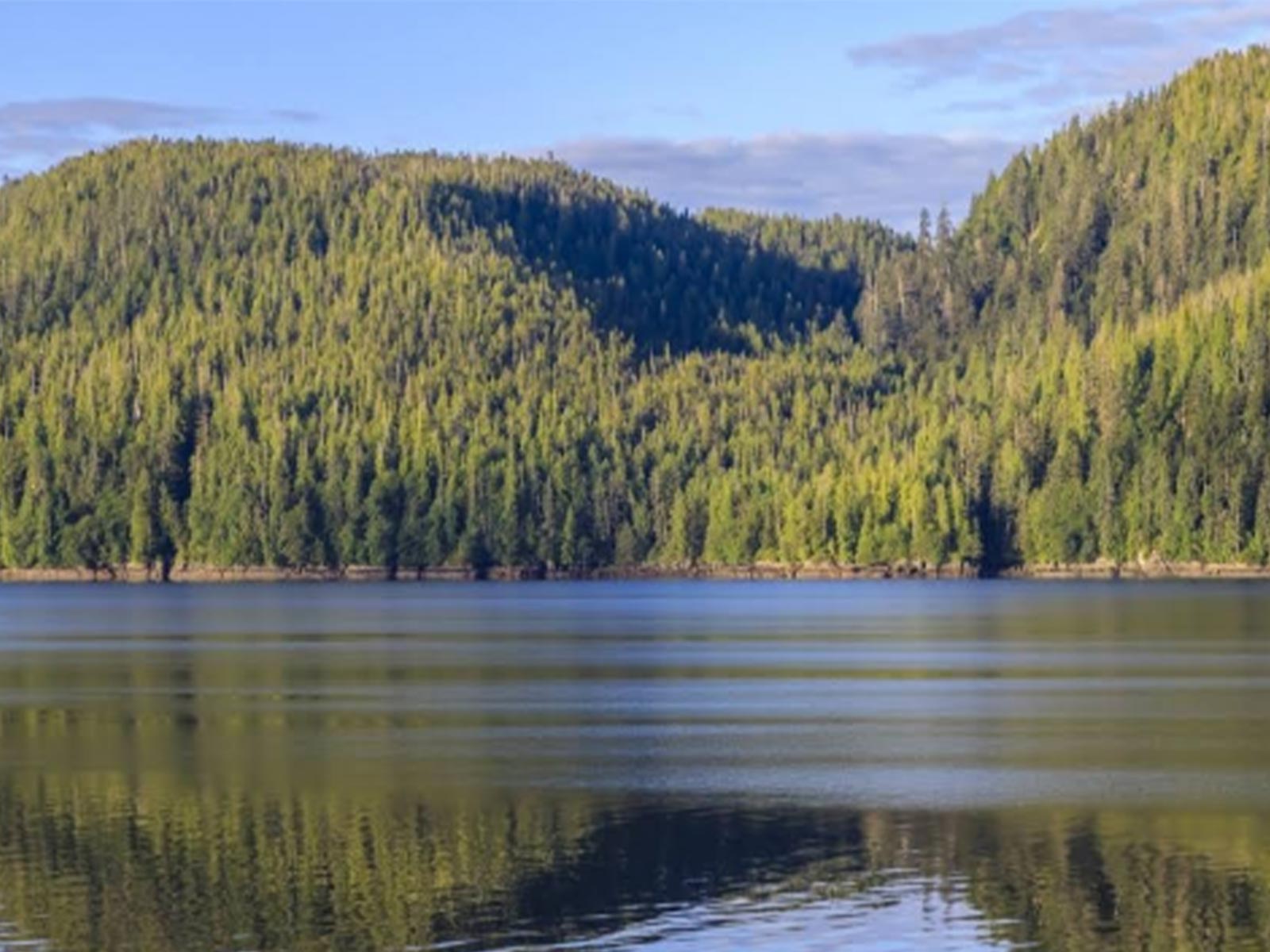 River view of Tongass National Park